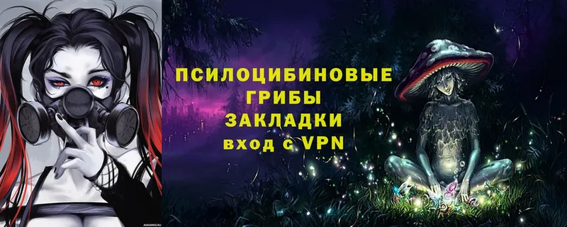 купить закладку  Костерёво  MEGA онион  дарк нет как зайти  Галлюциногенные грибы мицелий 